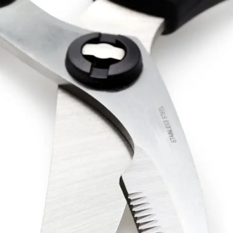 Scissors & Shears